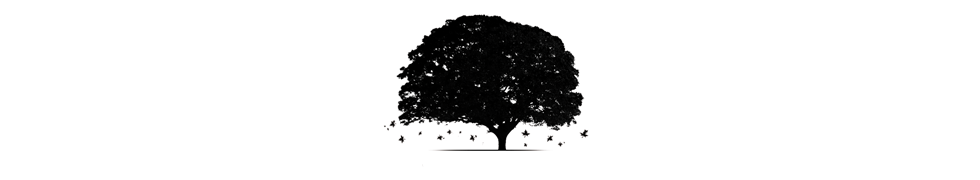 Masthead header